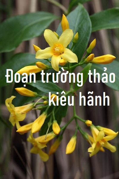 Đoạn trường thảo kiêu hãnh